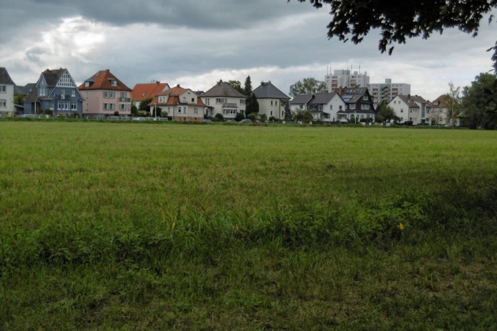 EIn Blick über die Mainwiese auf die Einfamilienhäuser in Steinheim.