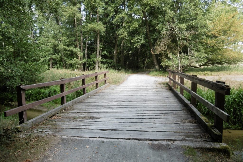 Das Bild zeigt eine Brücke über den Gundbach im Naturschutzgebiet Mönchbruch. Hinter der Brücke ist Wald zu sehen.