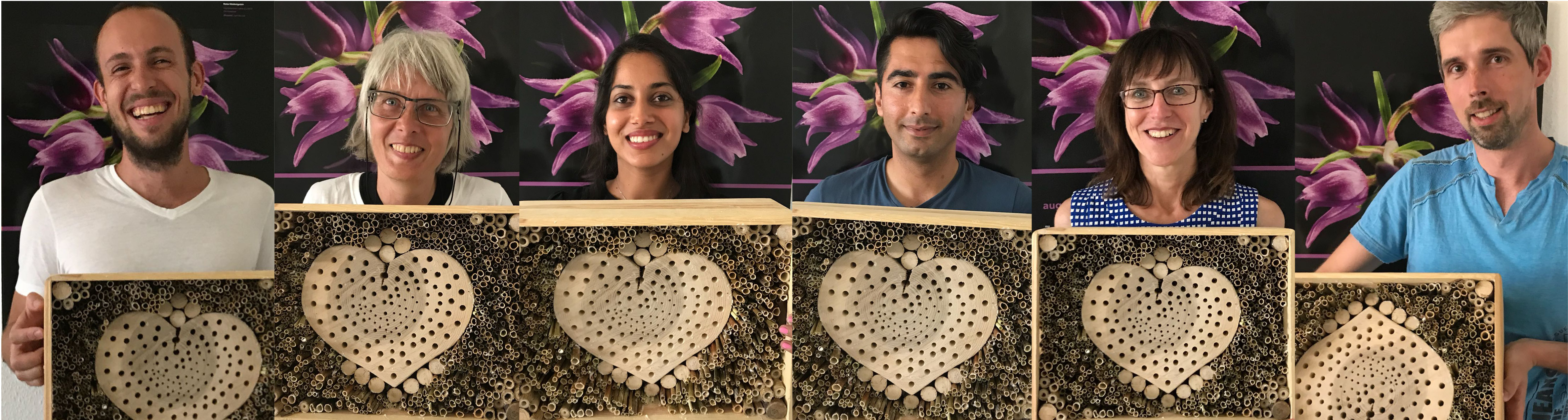 Julian, Angelika, Shruti, Omid, Sylvie und Daniel halten das fertige "Liebes-Insekten-Hotel" aus Holz. 