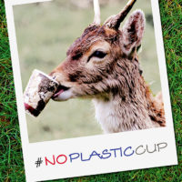 Das Bild zeigt ein Tier im Tierpark Hanau mit einem Plastikbecher im Maul. Darunter steht #NoPlasticCup.