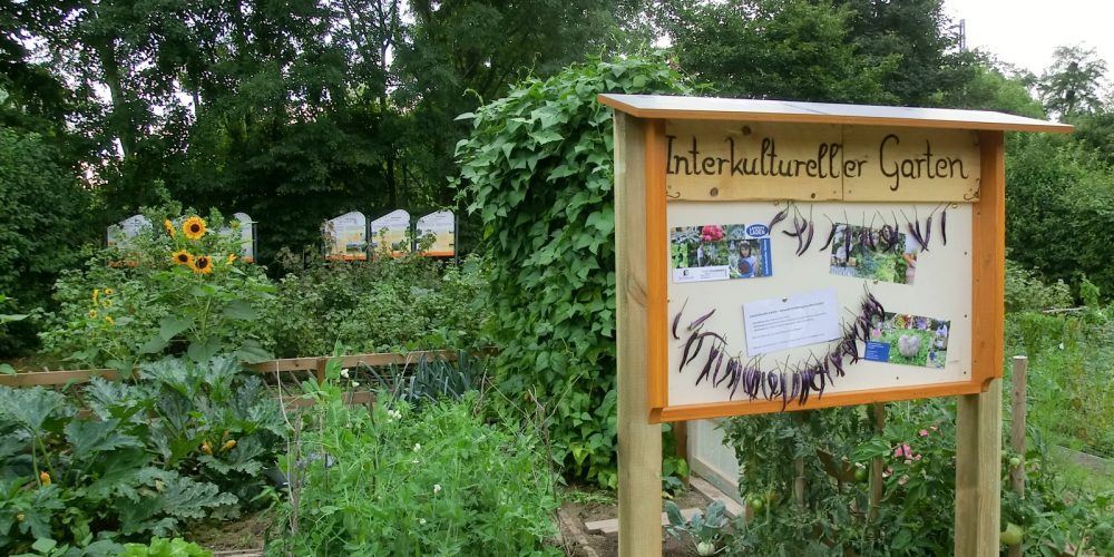 Das Bild zeigt einen Teil des interkulturellen Gartens mit dem entsprechenden Schild.