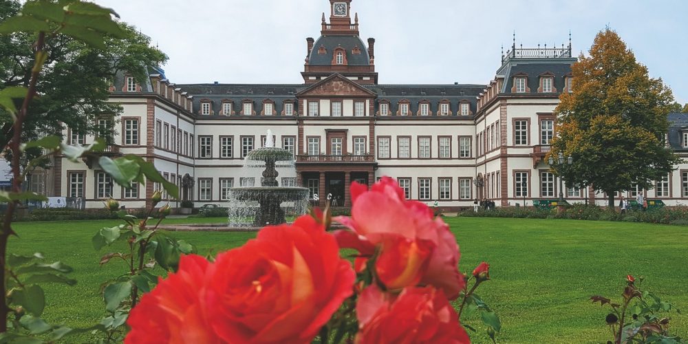Für Basim ist das Schloss Philippsruhe nach einem Jahr Flucht das Erste, was er gesehen hat. Daher hat er dieses auch mit einer schönen Rose im Vordergrund abgebildet.