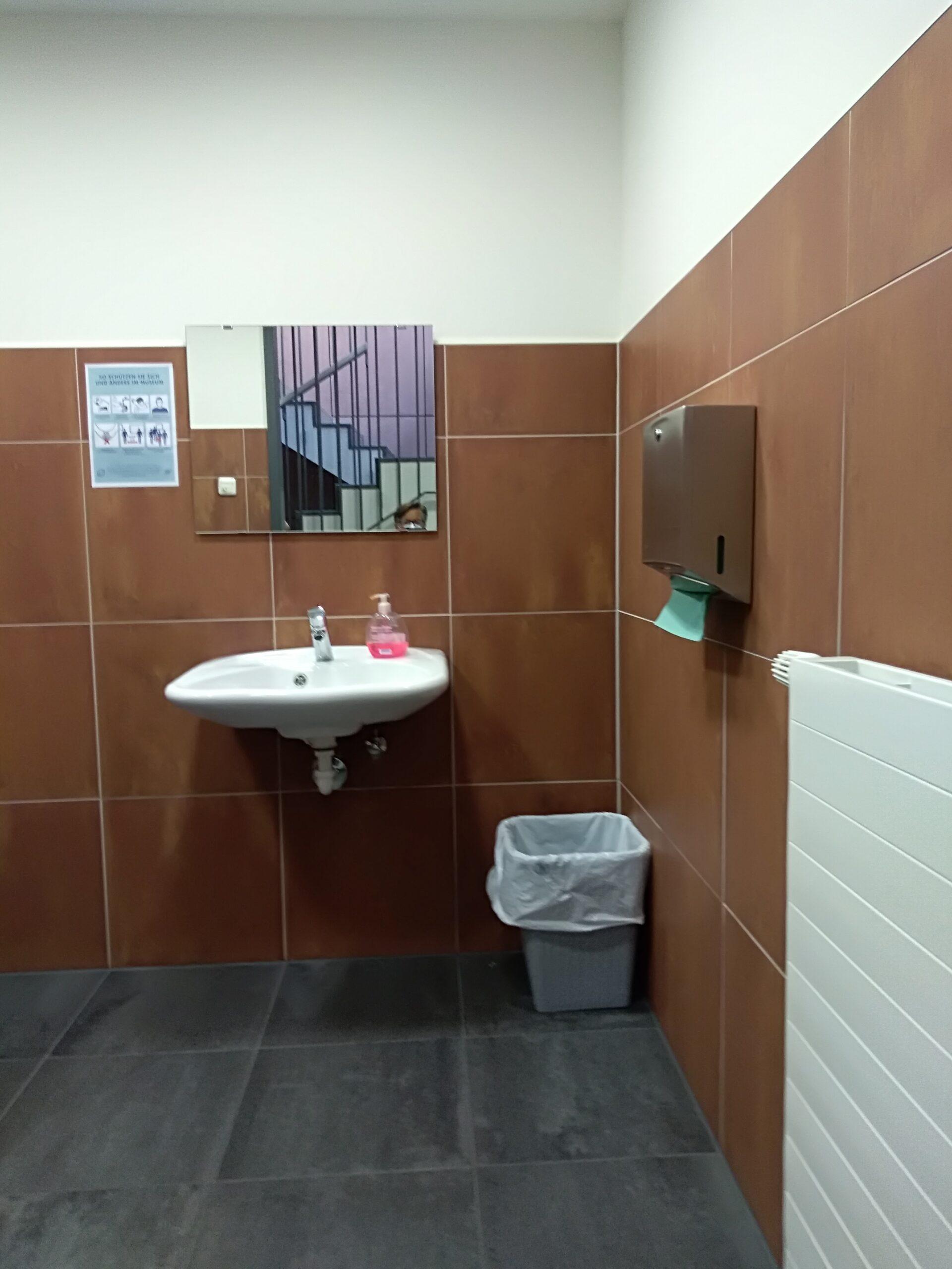 Zu sehen ist ein braun gefliester Raum von inner mit Spiegel über einem weißen Waschbecken, Papierkorb und Trockentuchspender.